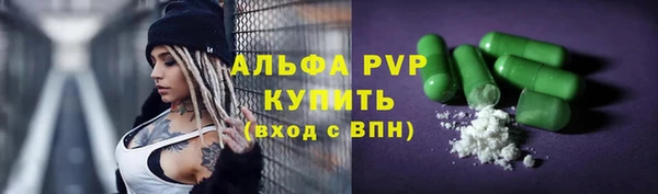 стаф Балахна