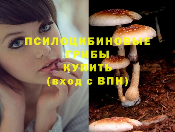 стаф Балабаново