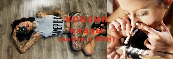 стаф Балахна