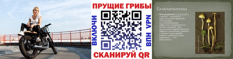 Галлюциногенные грибы мицелий  дарнет шоп  Городец 