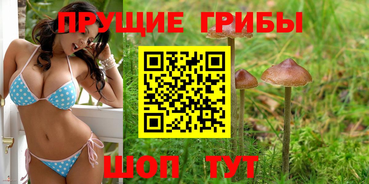 Галлюциногенные грибы мицелий  Галлюциногенные грибы ЛСД  Городец 